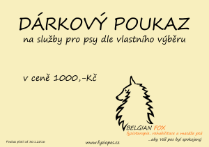 Poukaz_1000 copy